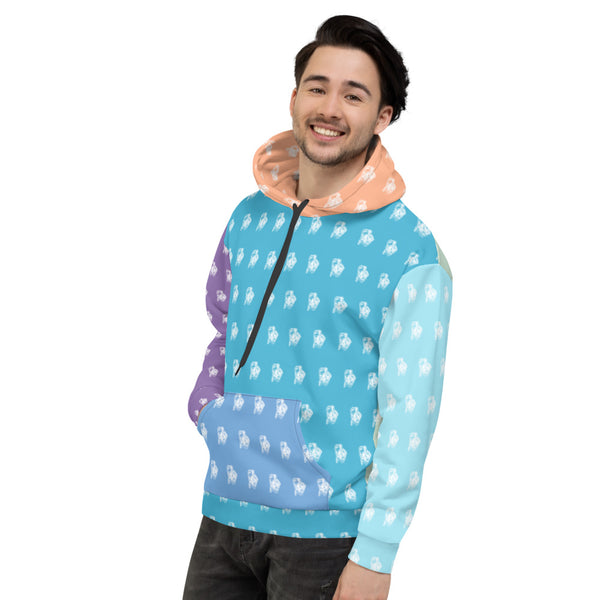 BenJammin Colorblock 1 Unisex Hooded Sweatshirt