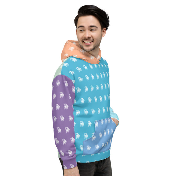 BenJammin Colorblock 1 Unisex Hooded Sweatshirt